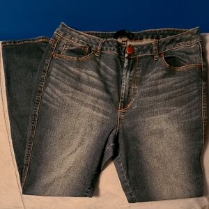 1822 Denim Skinny Jeans